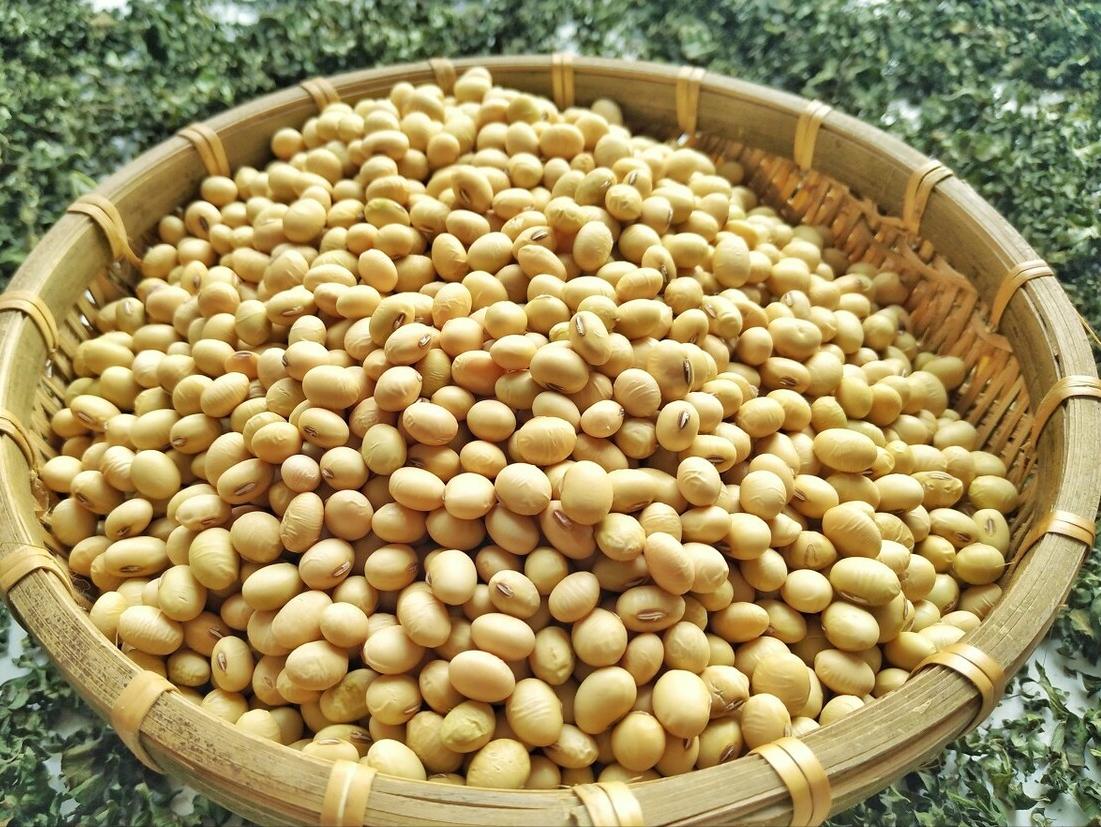 低钙血症的症状和危害,低钙血症的症状及危害