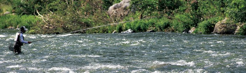 9米轻量大物竿实测,8.1米综合竿科学钓鱼测评