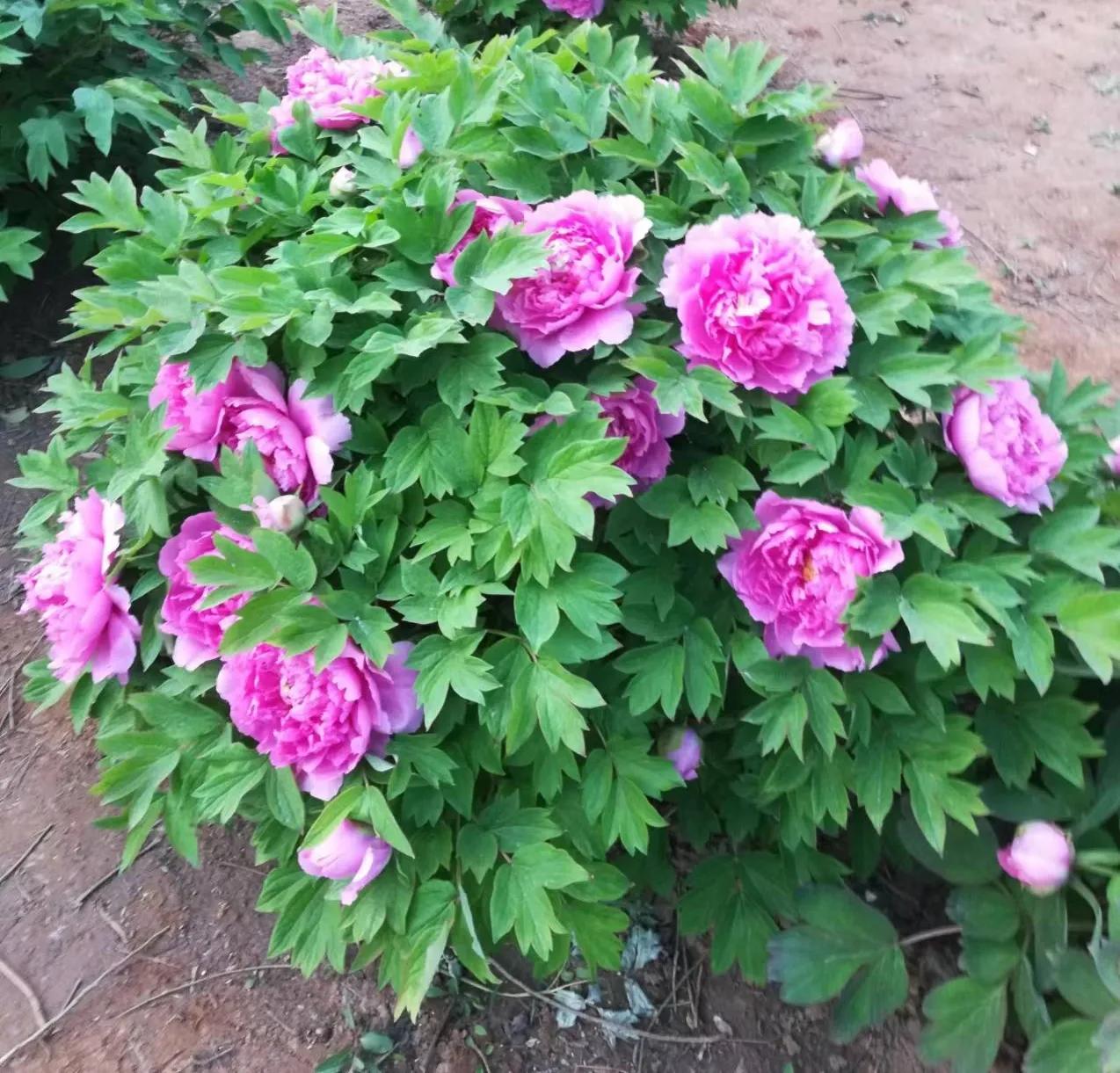 做临时工被拖工资怎么办,体制内临时工被安排很多活怎么办