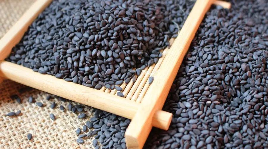 肾藏精，其华在发，中医助你“守住”发际线