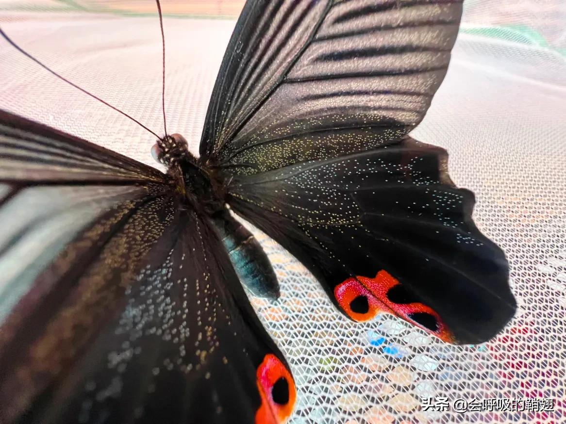 5个月的等待,经过5个多月的漫长等待