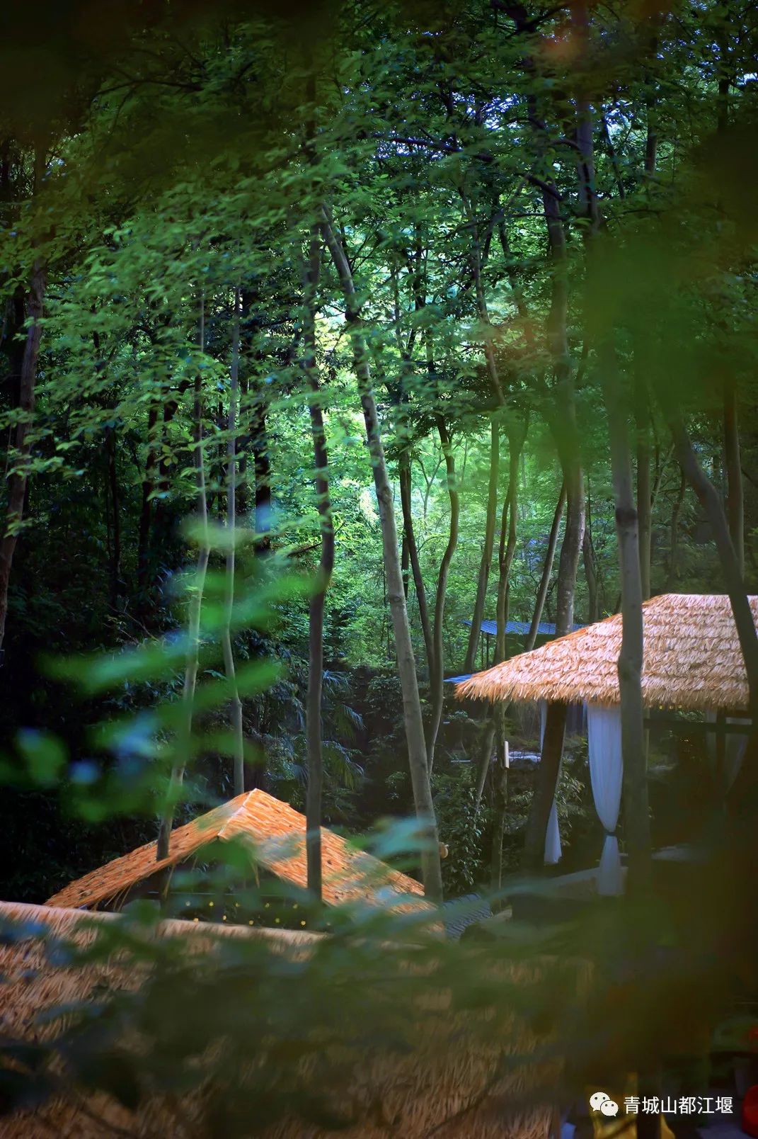 五一去都江堰住哪里方便,来都江堰玩怎么住宿