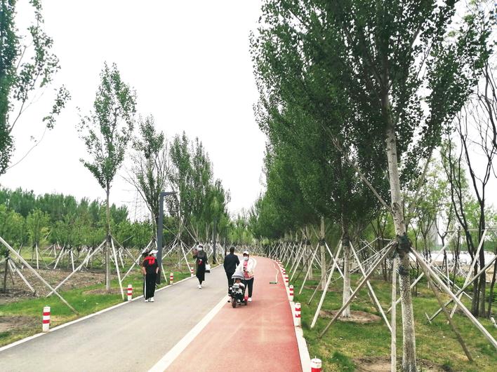 夜景西湖网红打卡地,网红打卡地金湖公园