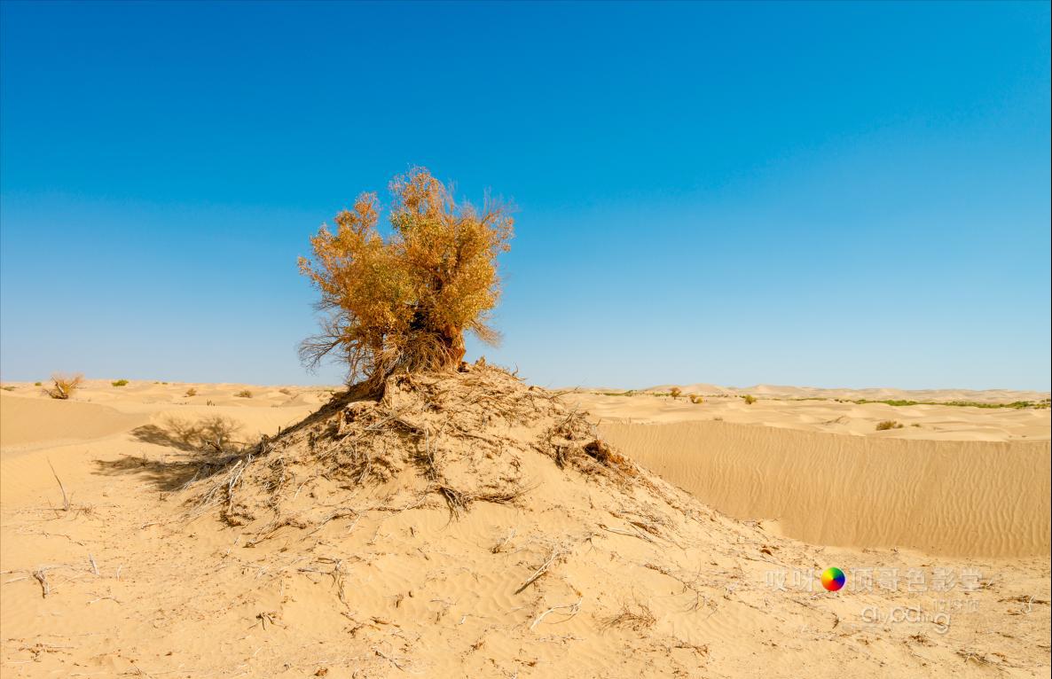 女司机带娃去新疆自驾游,带着女司机自驾游兰州