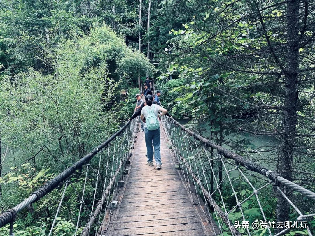 长白山二道白河旅游攻略7月游,自驾二道白河长白山旅游攻略