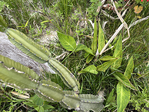 大理希尔顿酒店住宿价格表,大理实力希尔顿酒店