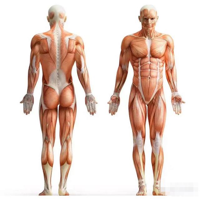 咏春能不能打败咏春,咏春是近战最厉害的功夫吗