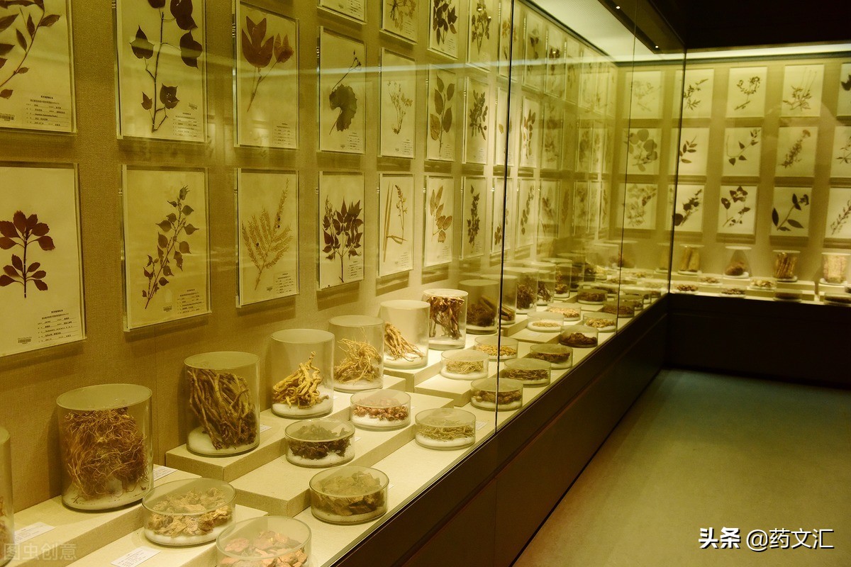 脾虚,湿盛,大便不成形,这款古方中成药,为什么医生都愿意开它