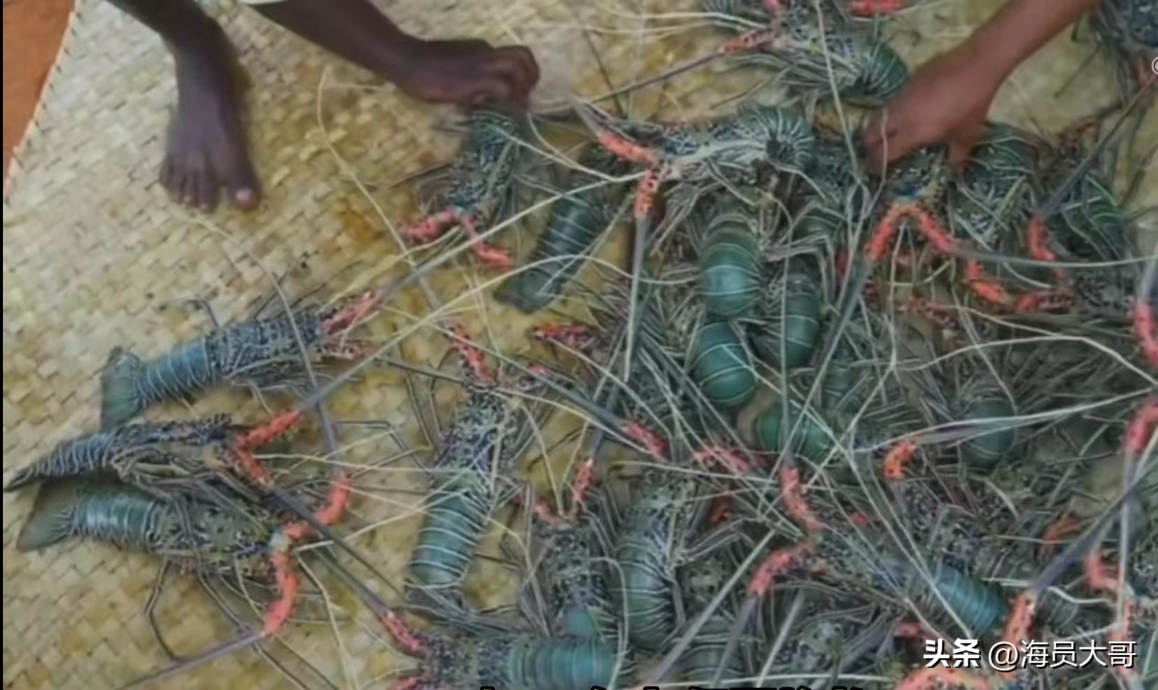海地是非之地，却是船员最爱去的国度，用一升汽油换50斤螃蟹，爽