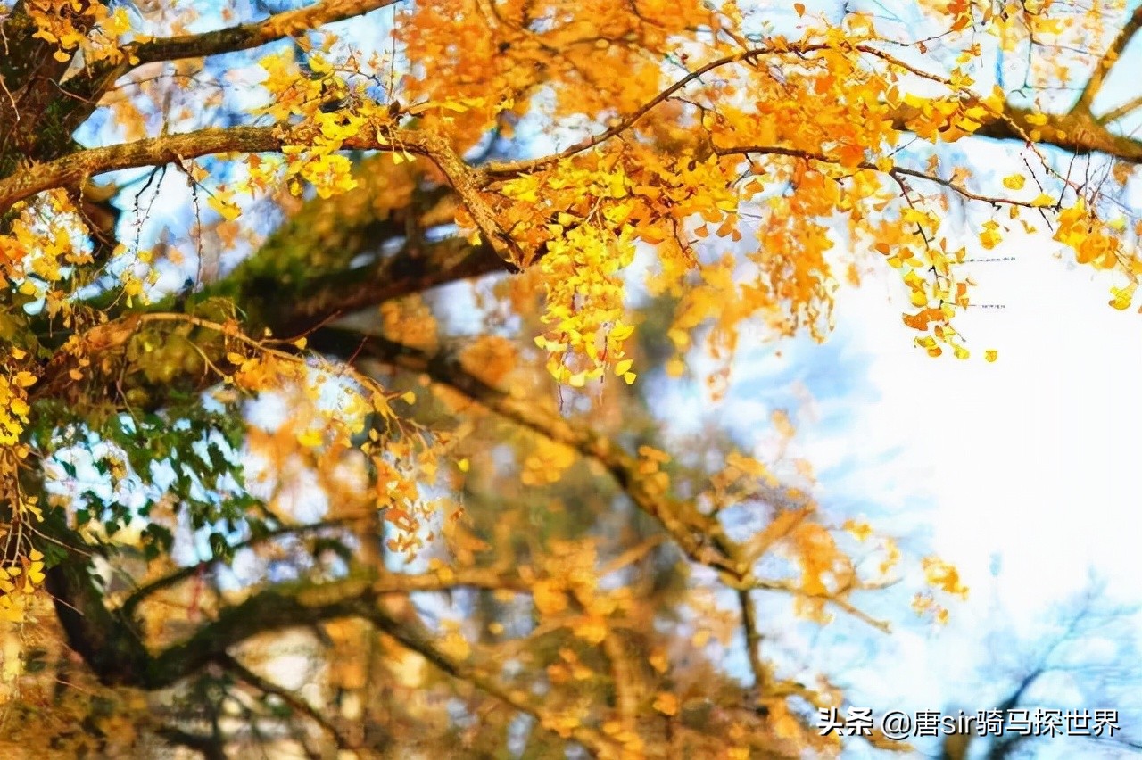 南昌的后花园瑶湖,南昌公认的后花园是哪里