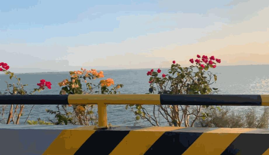 广东度假海岸,广东海岸线自驾游