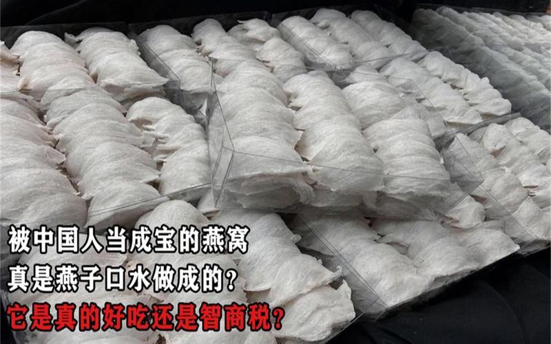 燕窝真的是用燕子的口水制成的吗,燕窝真的是燕子用嘴巴吐出来的吗