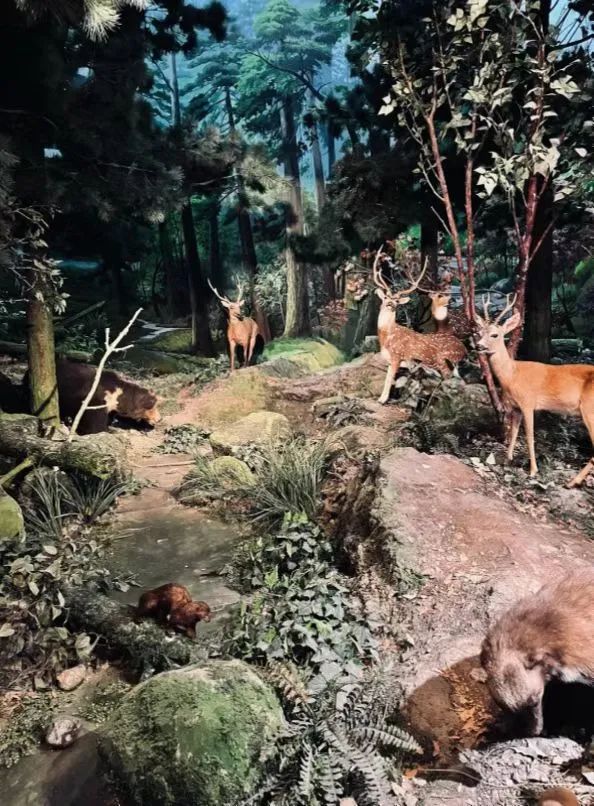 天津冬季遛娃,天津遛娃的免费公园