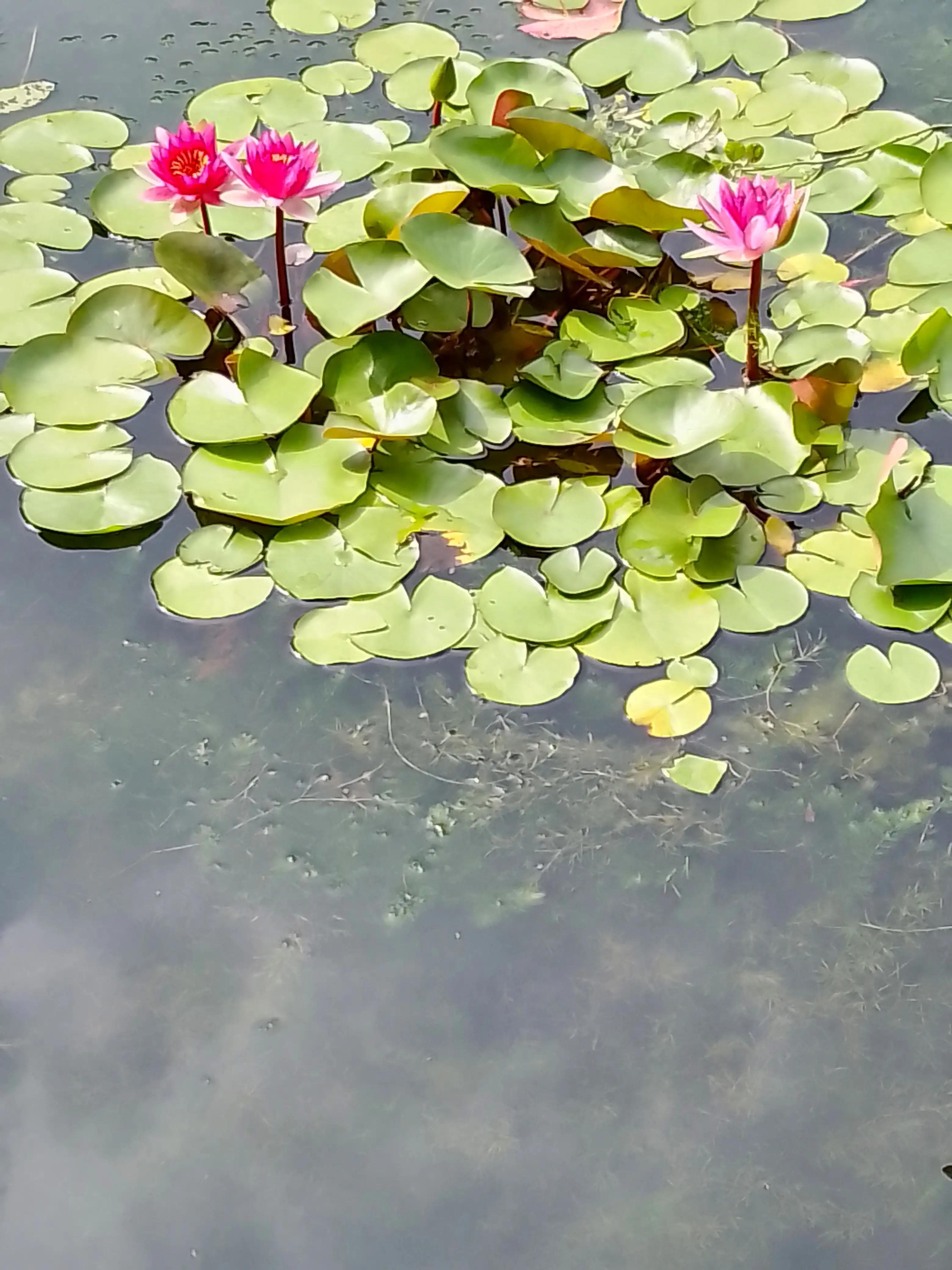 孤独寂寞随笔100字,一个人很寂寞随笔