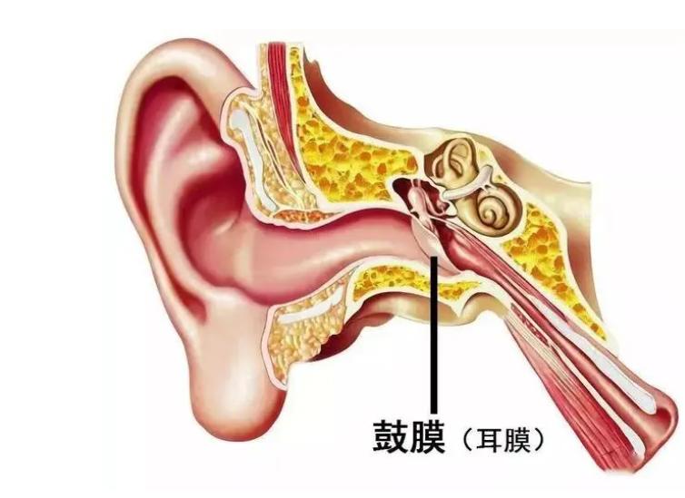耳朵里经常发痒什么原因造成的呢,耳朵里面频繁发痒或暗示5个问题