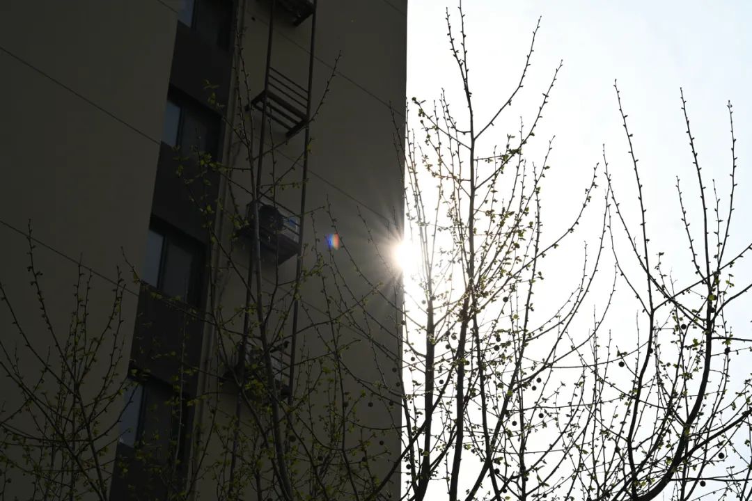 尼康z卡口85mmf1.8镜头评测欣赏,尼康全画幅50mmf1.8s和85mm1.8s