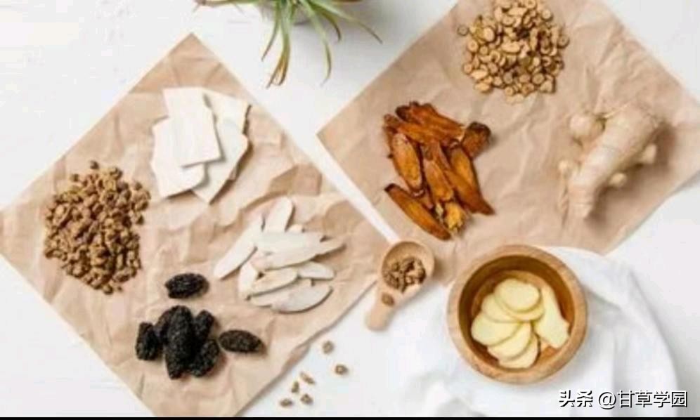 甘草学园|慢性萎缩性胃炎中医治疗