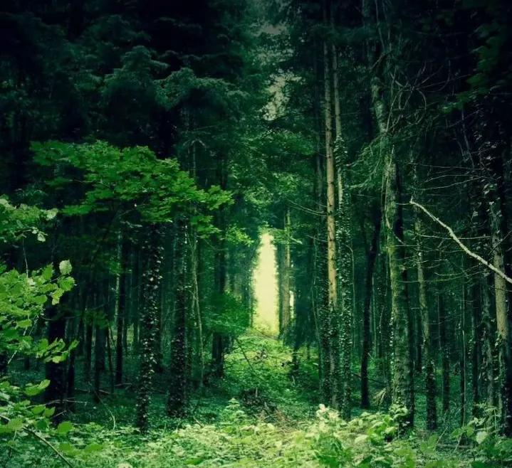 朗读余秀华诗有感,余秀华最感人的13首诗