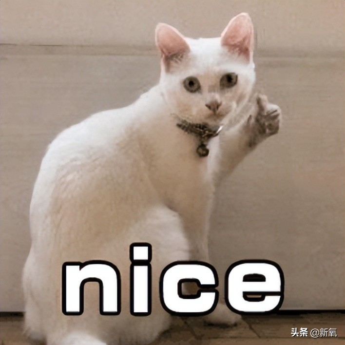 富豪千金妮可拉,富家千金妮可拉