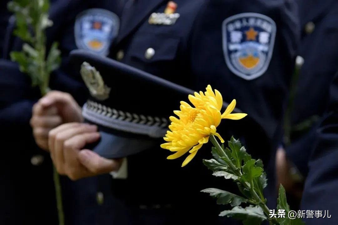 面向太阳拥抱希望,面向太阳充满希望