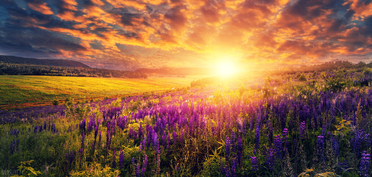 春日绝句杜甫,春日七言绝句古诗