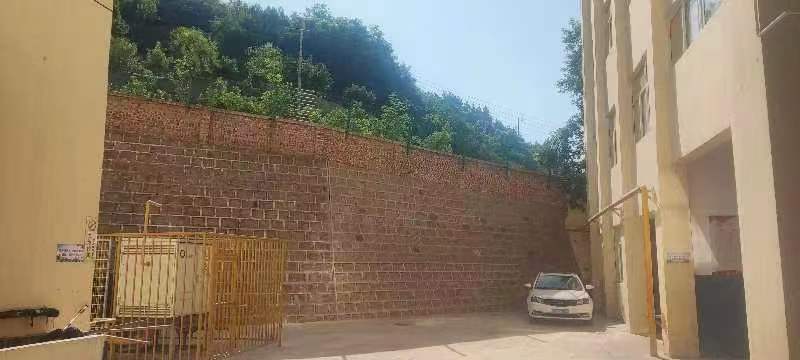 乘风破浪扬帆进，教改征程谱新篇——枣园中学教学改革实录