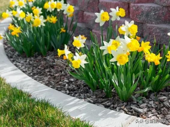 闰二月为什么好,闰年闰月有什么讲究和忌讳