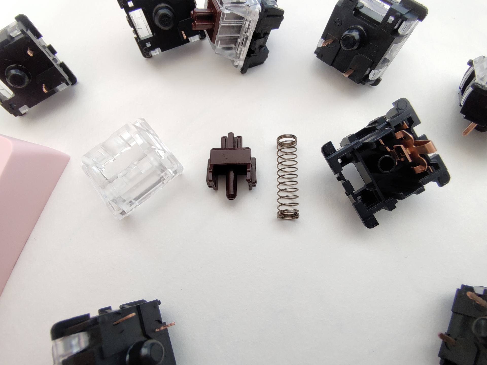 环诺茶红轴介绍,环诺轴怎么样