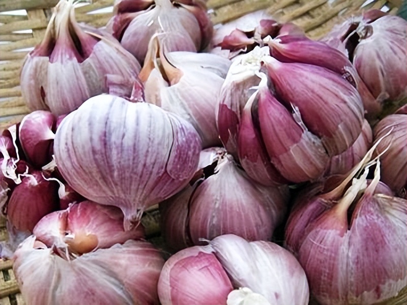 大蒜是糖尿病的发物,大蒜是高血压的发物吗