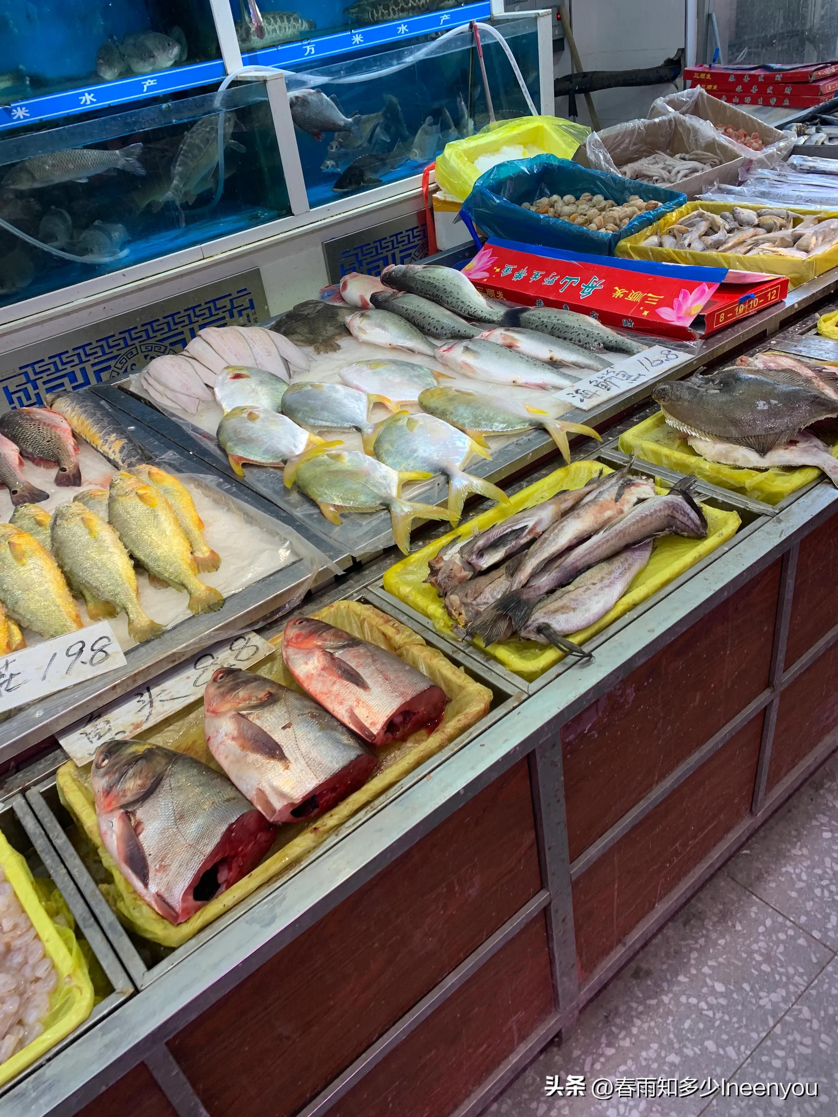 生活本就是不停的奔波,元旦将至忙忙碌碌