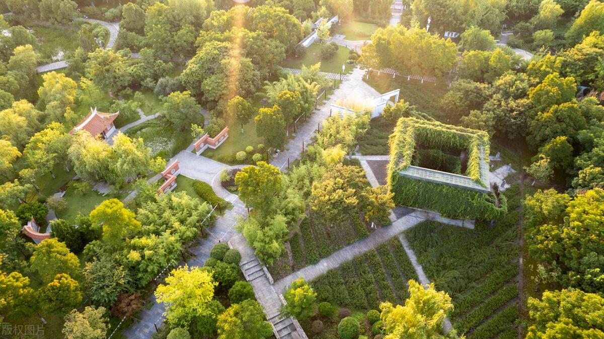 农村现在做什么行业赚钱,农村什么行业最赚钱投资小