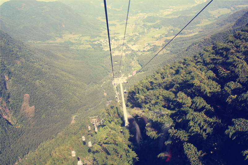 高考填报志愿热门的十大专业,高考志愿填报最易就业之十大专业