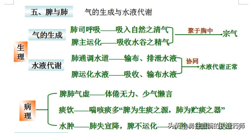 咳嗽痰多，气短，乏力，咳嗽后期使用小儿肺咳颗粒健脾益肺