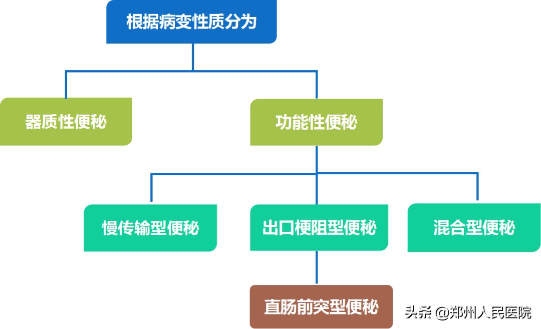 粑粑拉不出来是为什么,粑粑拉不出来按哪里
