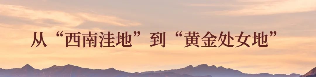 拐枣可以泡水和泡酒,拐枣与肉桂泡酒功效