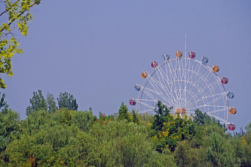 秋天的宛山荡湿地公园,秋天中河湿地公园