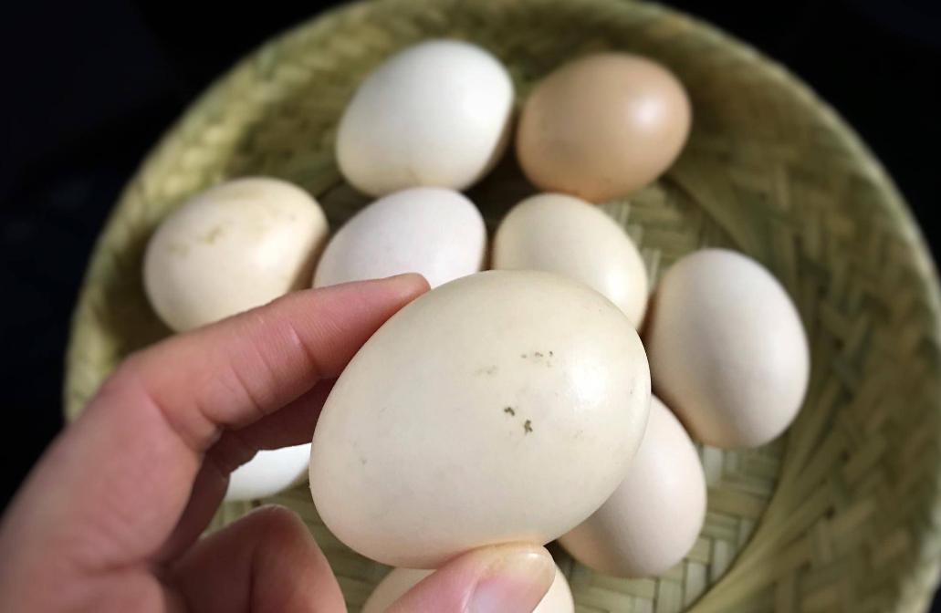 鸡蛋不放冰箱放一年都不坏的方法,鸡蛋保存方法可直接放冰箱保鲜吗
