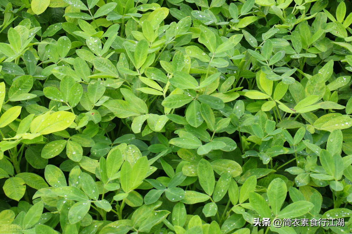 她做保姆这些年豪门生活4,她做保姆这些年豪门生活244