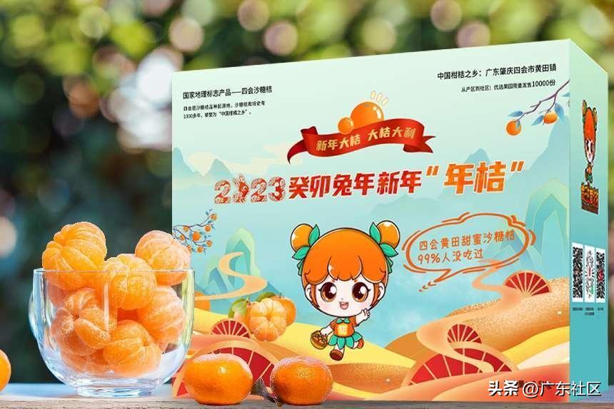 四会沙糖桔节,四会沙糖桔2019