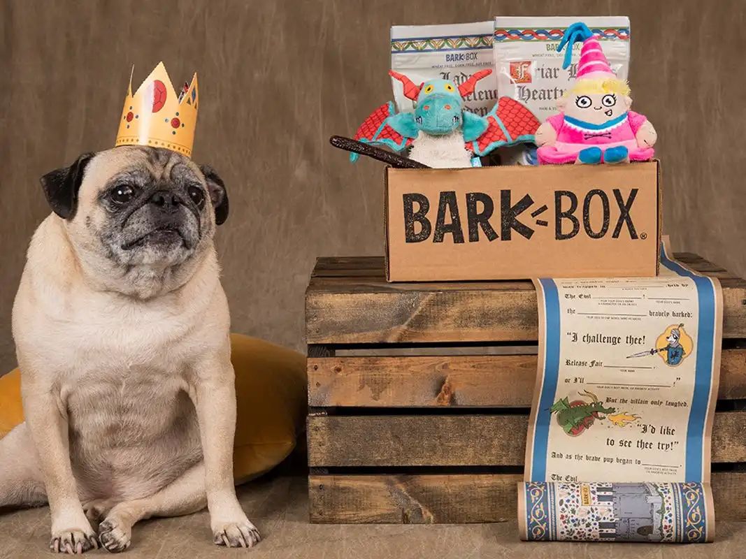 速码｜2023海外红人营销怎么做？就看这5点