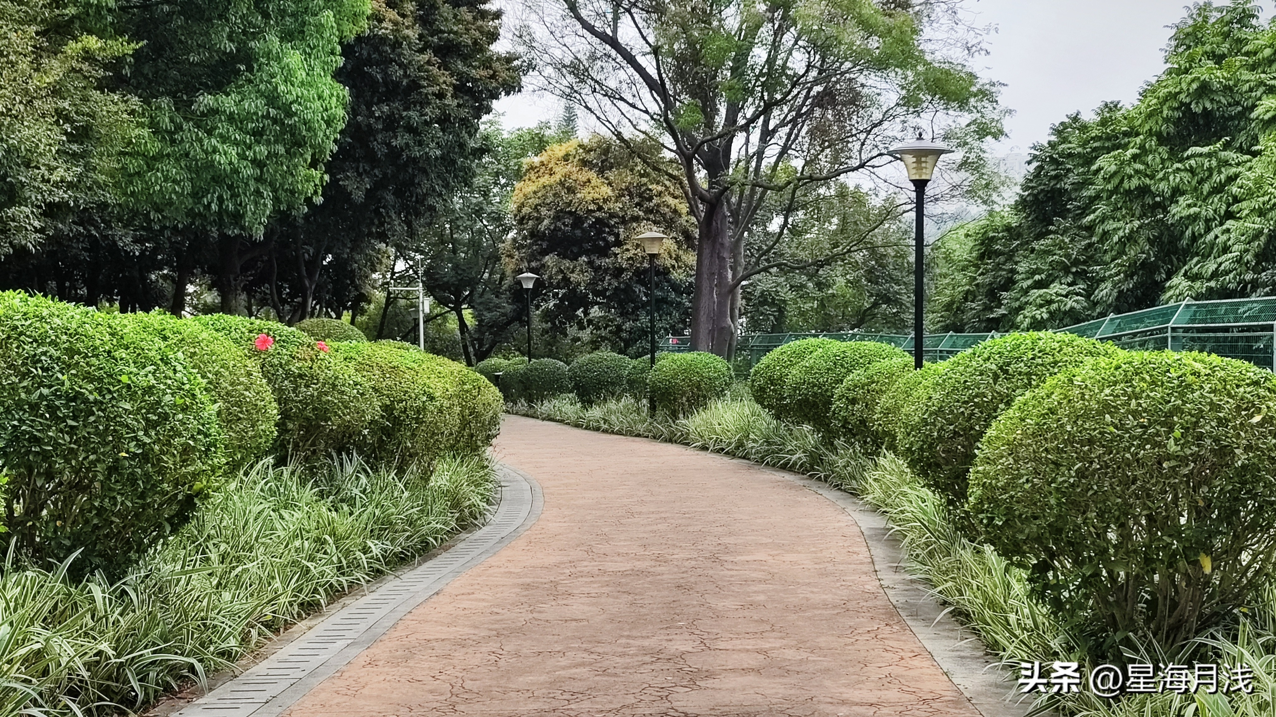 广州天河区周末免费儿童公园,儿童乐园广州半天遛娃好去处