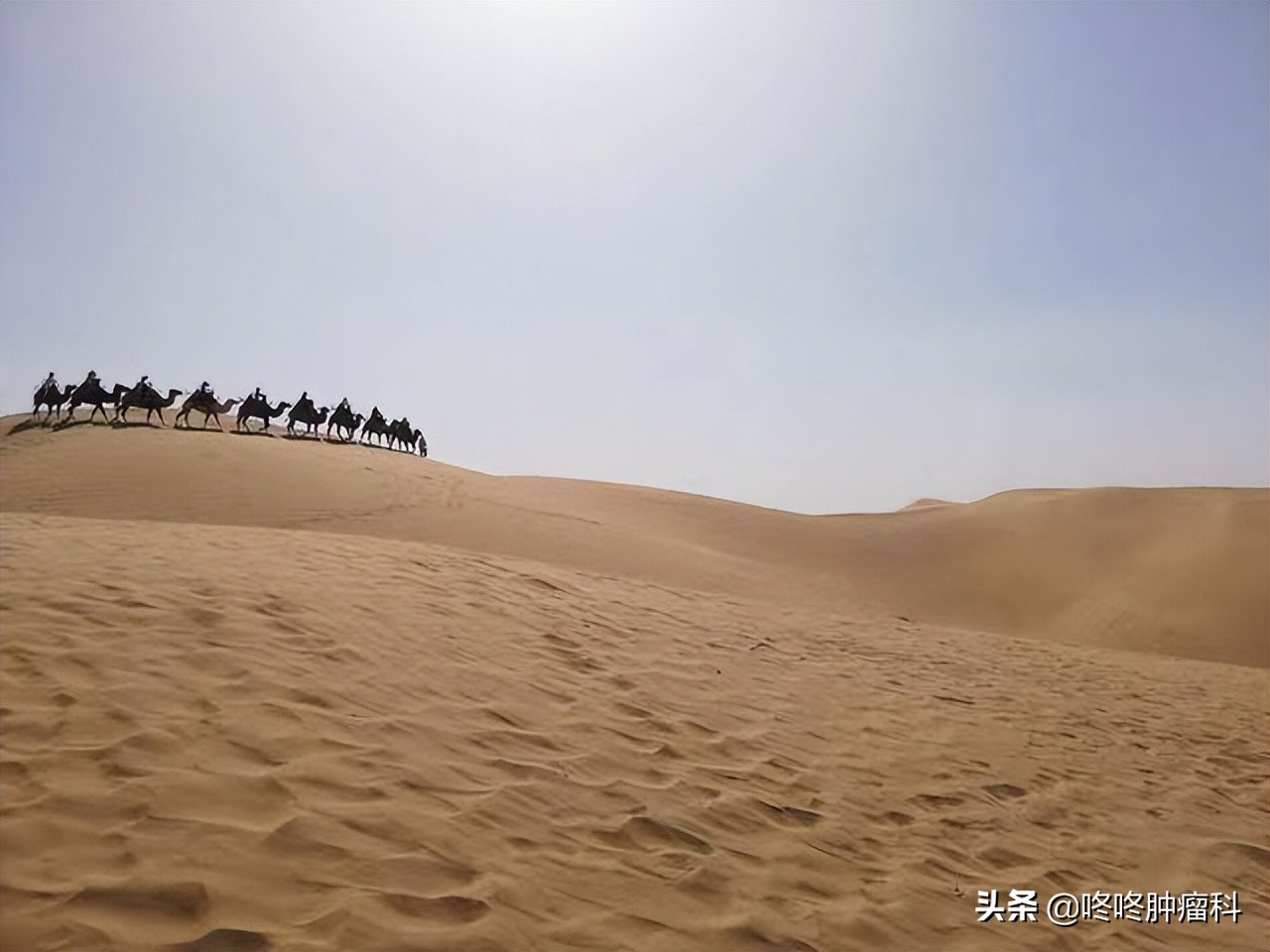 抗癌5年化疗16次,抗癌4年战胜病魔