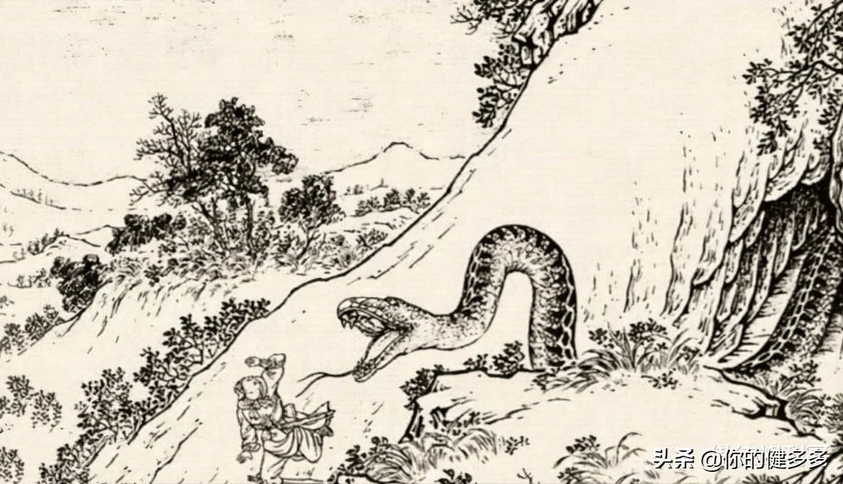 民间故事男子深山之中救蛇,民间故事男子帮助难产蛇