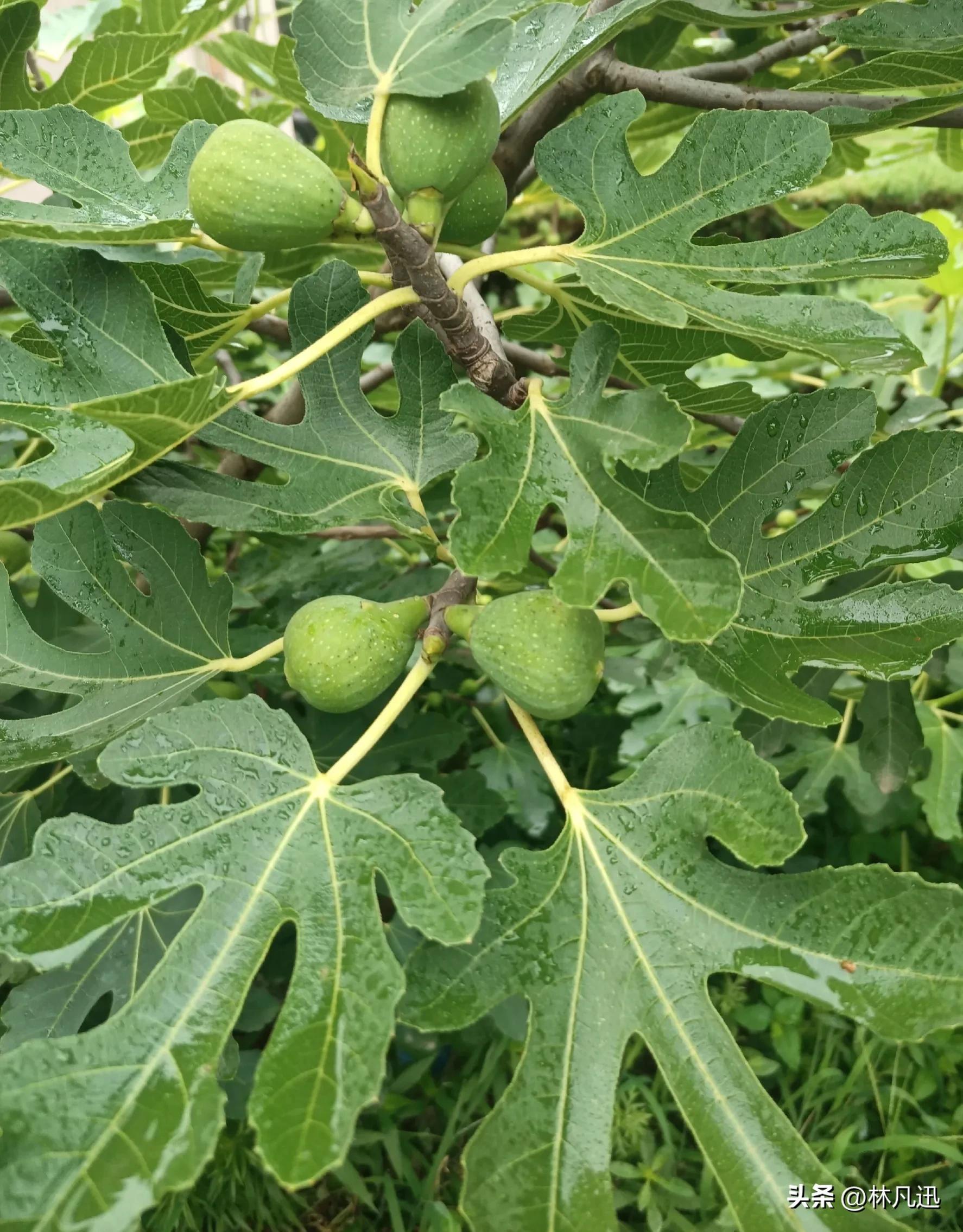 什么样的人适合炒股,不适合炒股的人