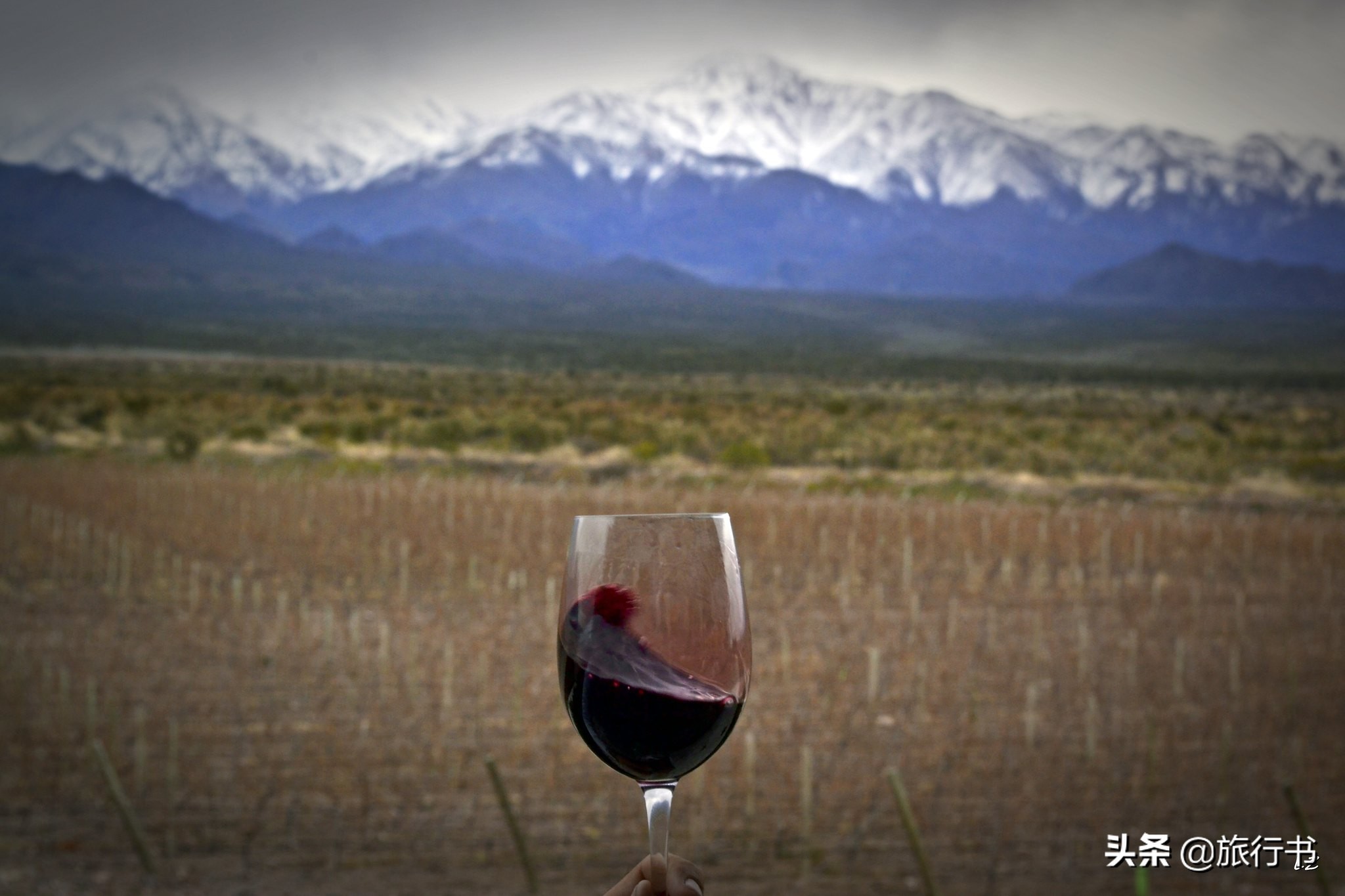 智利葡萄酒和法国葡萄酒哪个好喝 (智利的葡萄酒和法国葡萄酒的区别)