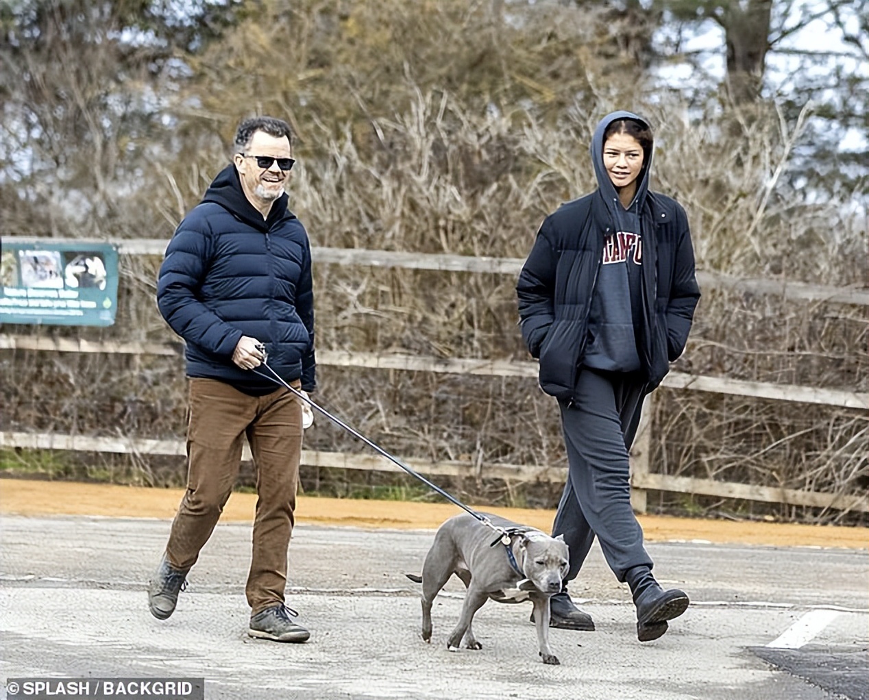 赞达亚和荷兰弟蜘蛛侠第一次见面,蜘蛛侠赞达亚全身照