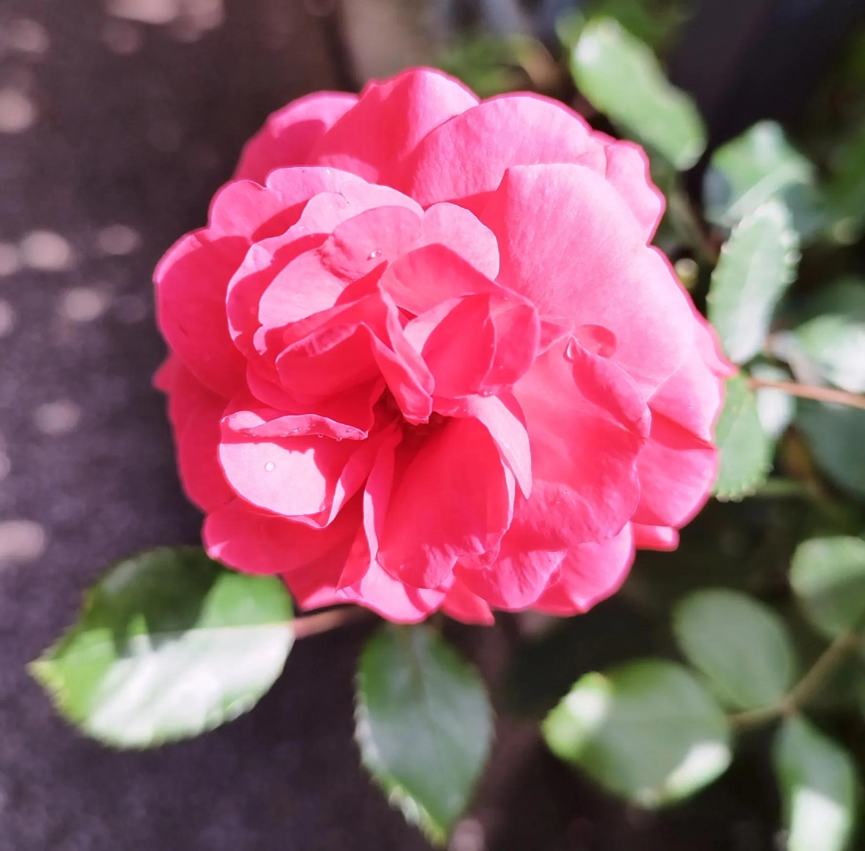 老公总是对孩子大口大叫,挑战30天教孩子写作业不生气