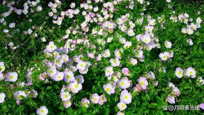 学会赚钱的100个知识,真正赚钱的知识