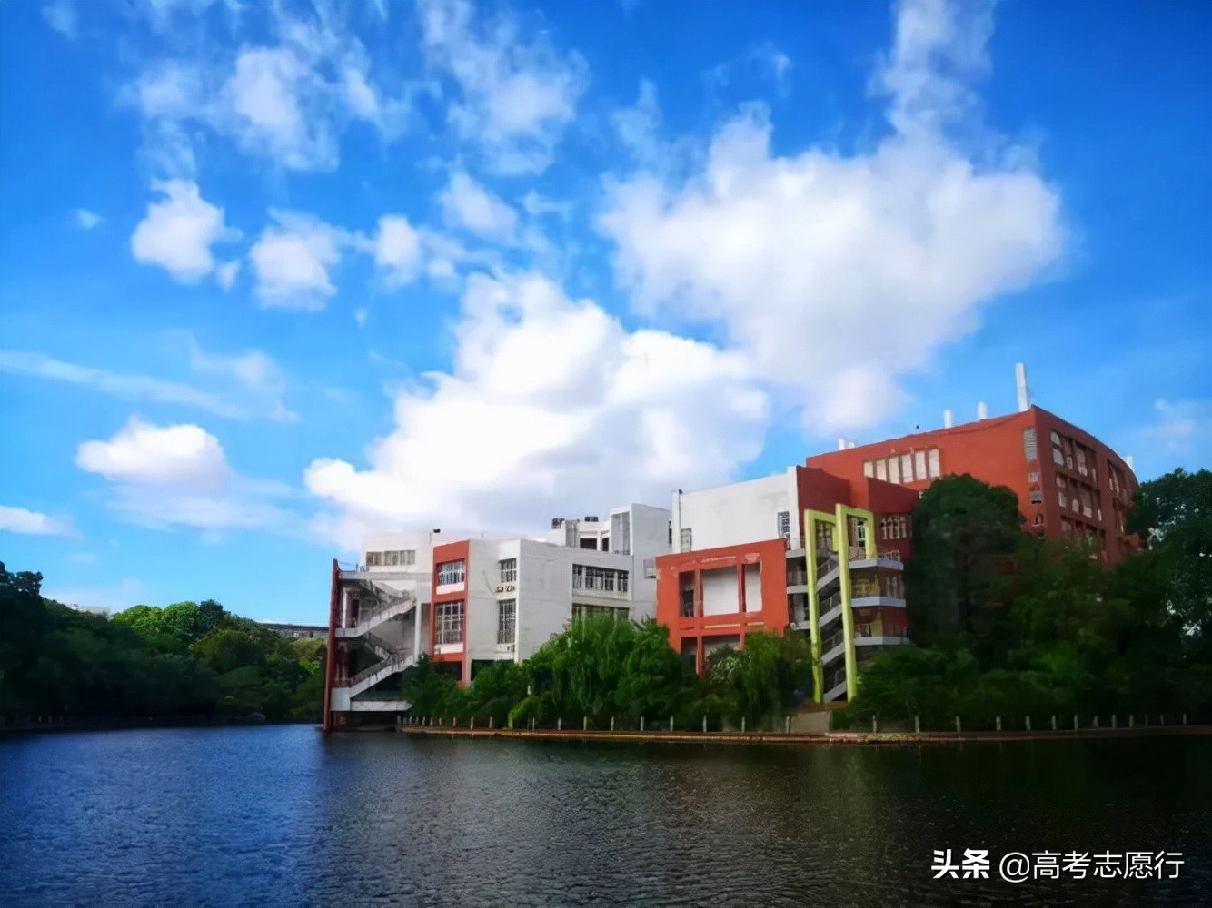 想上211要怎么选科,想上211大学得超一本多少分