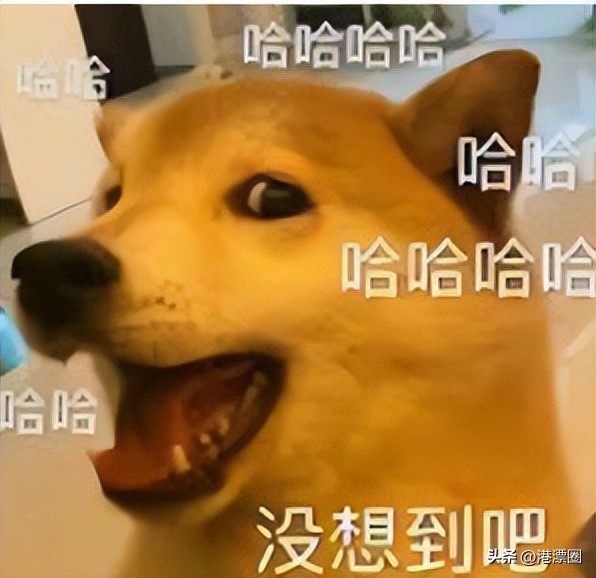 香港赚钱冷门职业,10年后香港最赚钱的工作是什么